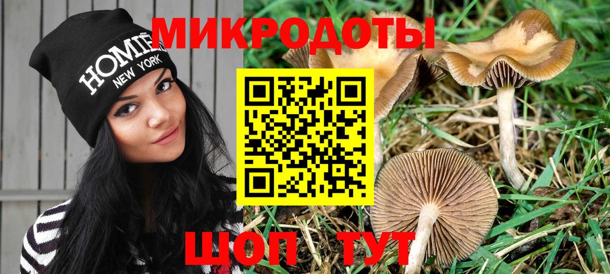 Галлюциногенные грибы Psilocybe  Вход с VPN  Кызыл 