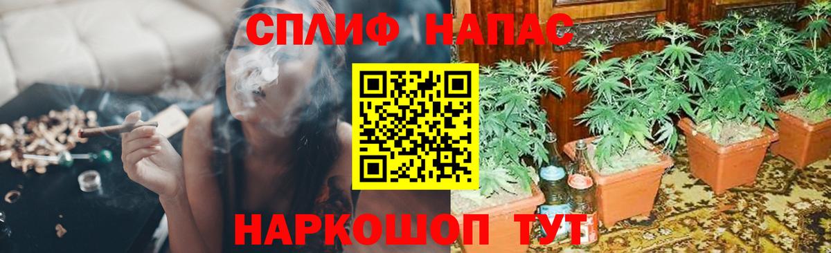 МАРИХУАНА SATIVA & INDICA Кызыл